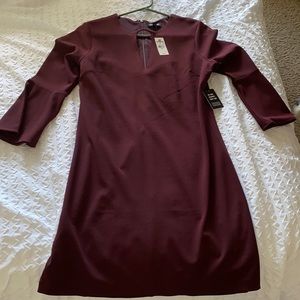 Express Burgundy Dress